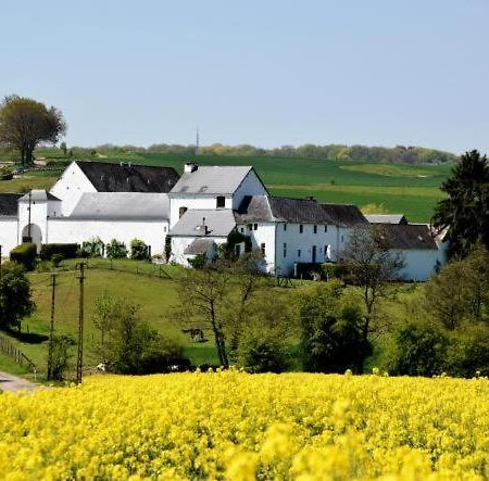 La Ferme De Basseilles Pensionat Mozet Eksteriør billede